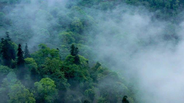 俄叙军队联合行动：霍姆斯反对派武装阵地遭遇空袭纪实